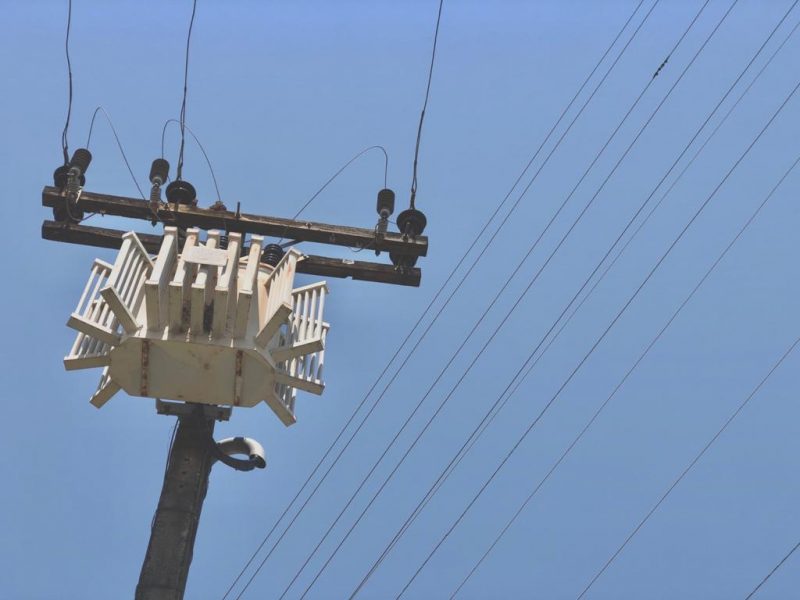 'Gato' em casa de moradora de Palhoça justificou corte, diz Justiça