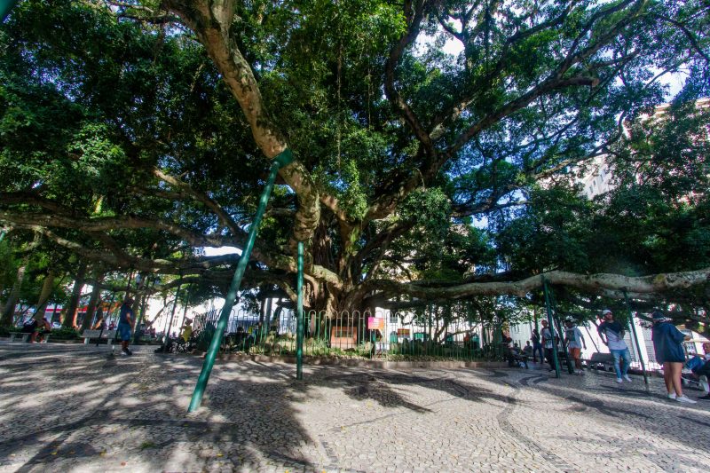 Pra&ccedil;a XV &eacute; um dos espa&ccedil;os p&uacute;blicos mantidos pela parceria p&uacute;blico-privada – Foto: Flavio Tin/Arquivo/ND