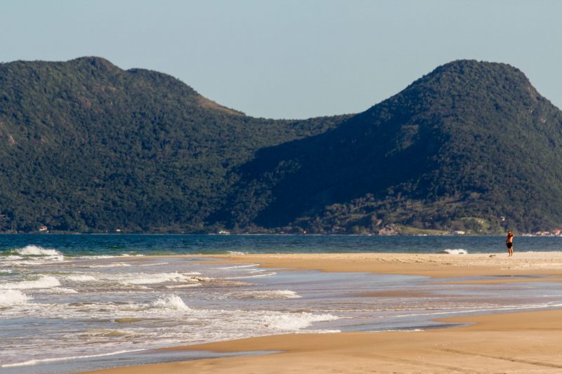 Foto de parte da areia da Praia do Campeche, com o mar à esquerda e um grande morro verde ao fundo. 