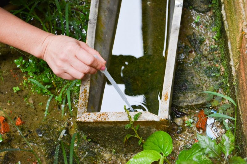 Equipes v&atilde;o vistoriar cerca de 40 mil im&oacute;veis na cidade – Foto: PMB/Divulga&ccedil;&atilde;o/ND