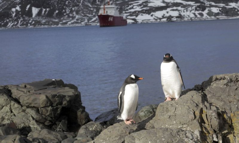 Entre 1992 e 2017, Groenl&acirc;ndia e a Ant&aacute;rtida perderam 6,4 mil milh&otilde;es de toneladas de gelo – Foto: Alan Arrais/NBR/Ag&ecirc;ncia Brasil/ND