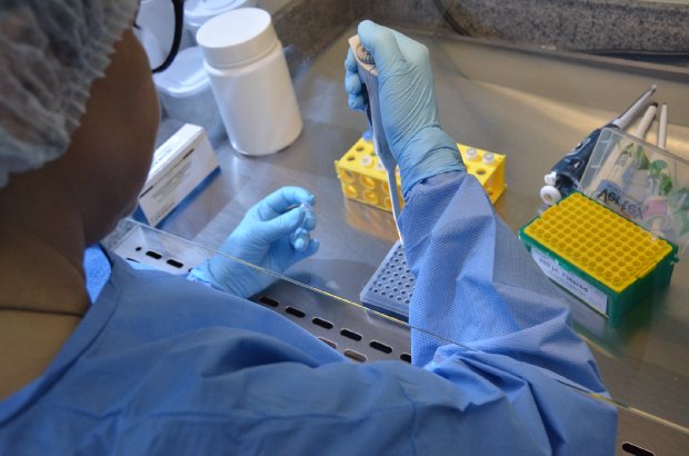 UFSC começa a produzir testes para detecção do novo coronavírus &#8211; Foto: Robson Valverde/Secom