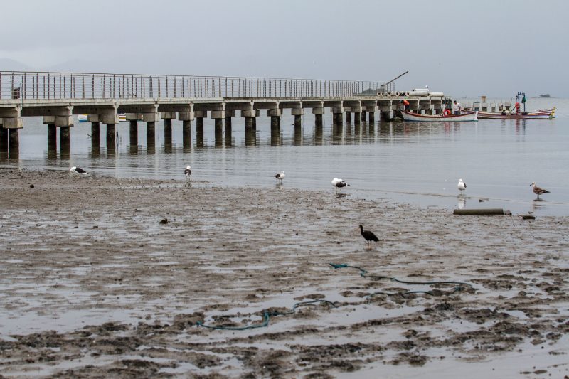Lodo tomou conta da praia do Jo&atilde;o Paulo. Foto/Arquivo: Fl&aacute;vio Tin/ND