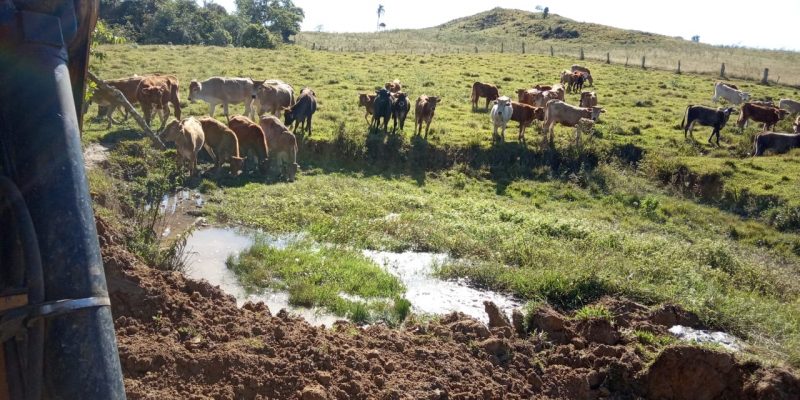 Agricultura sofre com a estiagem prolongada na cidade &#8211; Foto: PDE/ Divulgação
