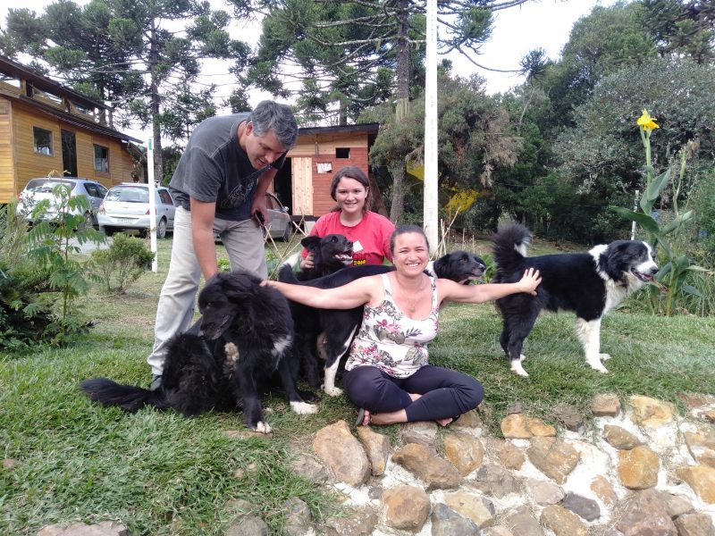 Taís, o marido, Marcelo, e filha, Beatriz, e os cachorros da família se esbaldam em meio à natureza durante a quarentena – Foto: Divulgação/ND