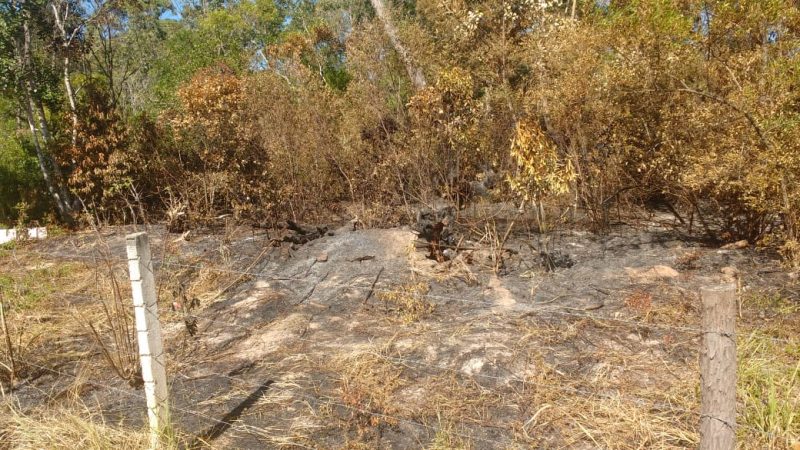 Incêndio atinge vegetação das dunas da Joaquina, em Florianópolis – Foto: Corpo de Bombeiros SC/Divulgação