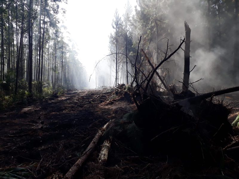 Em Barra Velha, foram criados aceiros para evitar a propagação das chamas – Foto: Corpo de Bombeiros Militares/Divulgação