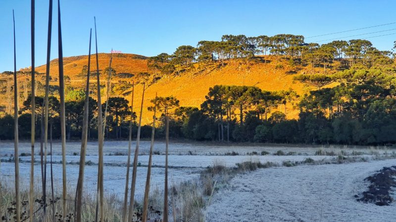Nesta &eacute;poca do ano a Serra catarinense proporciona imagens como essa – Foto: Mycchel Legnaghi/S&atilde;o Joaquim Online/Divulga&ccedil;&atilde;o