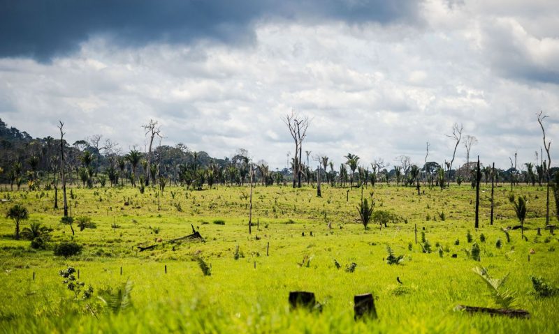 Colniza, MT, Brasil: Área degradada no município de Colniza, noroeste do Mato Grosso. – Foto: Marcelo Camargo/Agência Brasil/ND