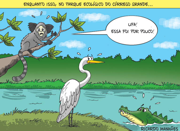 Charge 28-05