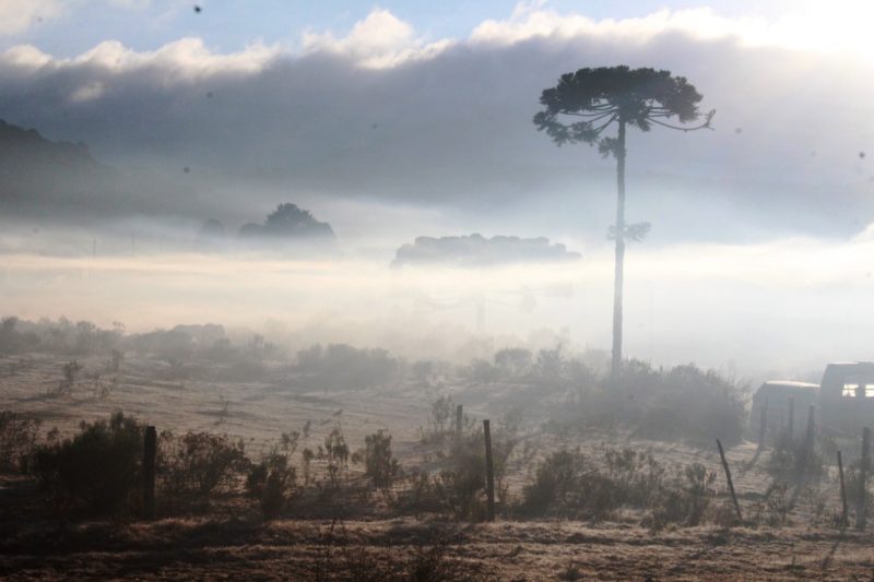 Outro local atingido pela forte geada, no amanhecer desta sexta (15), foi Urupema, que registrou -4,6°C, segundo o Epagri/Ciram – Foto: Marleno Muniz Farias/Divulgação/ND