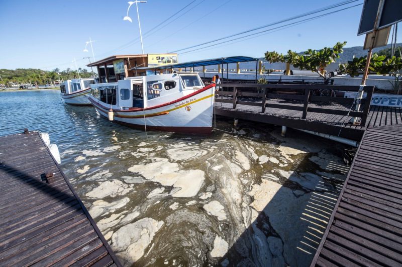 &Aacute;rea do trapiche na Lagoa da Concei&ccedil;&atilde;o – Foto: Anderson Coelho/ND