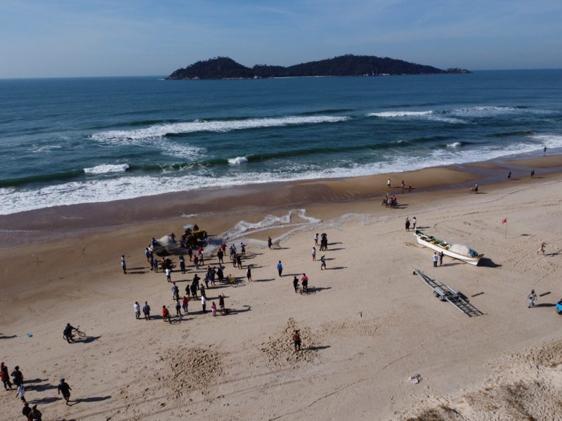 Pesca tainha na praia do Campeche, domingo, dia 31 de maio de 2020 – Foto: Anderson Coelho/Arquivo/ND