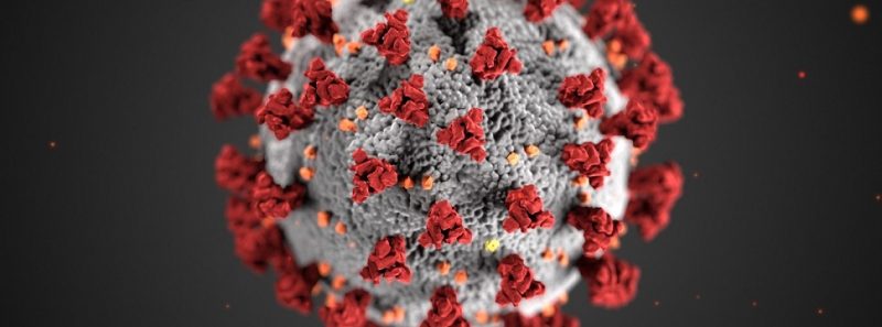 Com ajuda de inteligência artificial, estudo prevê fim da pandemia para dezembro - VisualHunt.com