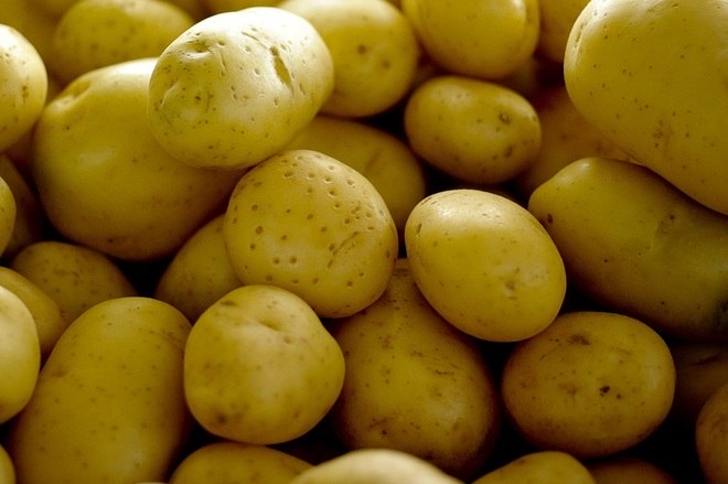 Pre&ccedil;o da batata lavada subiu 82,79% em rela&ccedil;&atilde;o a outubro – Foto: Ag&ecirc;ncia Brasil