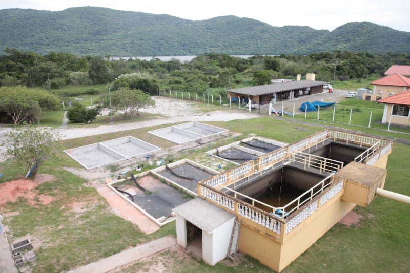 Casan vai realizar servi&ccedil;o de manuten&ccedil;&atilde;o na Esta&ccedil;&atilde;o de Tratamento da Lagoa do Peri – Foto: F&aacute;bio Queiroz / Ag&ecirc;ncia AL/ND