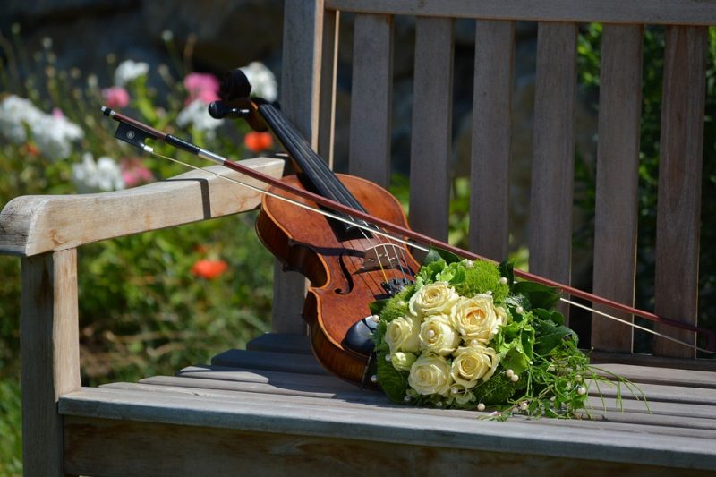 Em Florianópolis, Fontão Violinista oferece serviço de serenata – Foto: Divulgação/Pixabay