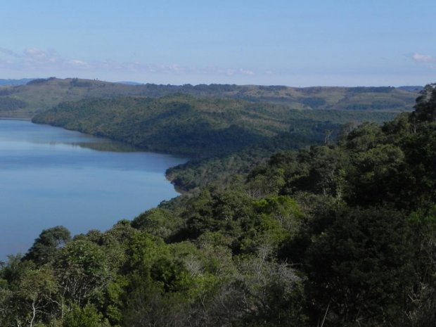 SC reduz em 46% desmatamento da Mata Atlântica em cinco meses