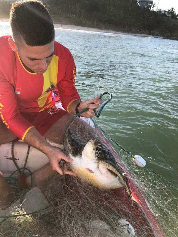 Tartarugas estavam presas em redes de pesca – Foto: Bombeiros Militares