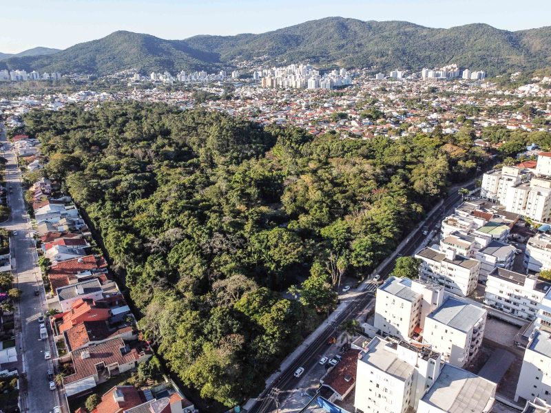 Vista aérea do Parque Ecológico do Córrego Grande, em Florianópolis – Foto: Anderson Coelho/Arquivo/ND