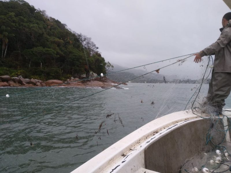 Animais marinhos têm sofrido com redes de pesca no Litoral Norte de SC