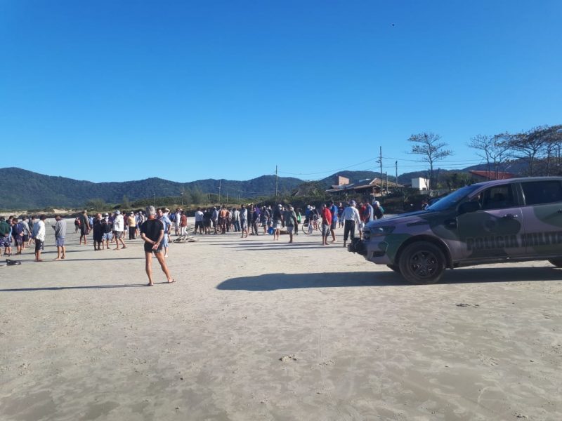Operação Safra da Tainha foi realizada nesta segunda-feira (8) – Foto: Divulgação/Polícia Militar Ambiental