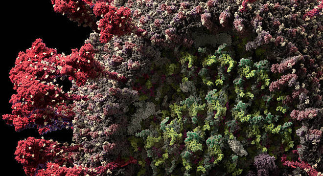 1.296.328 brasileiros j&aacute; est&atilde;o curados da Covid-19 – Foto: reprodu&ccedil;&atilde;o/Visual Science