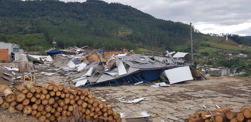 Galp&otilde;es foram ao ch&atilde;o com a for&ccedil;a do vento – Foto: Stolf/Divulga&ccedil;&atilde;o/ND
