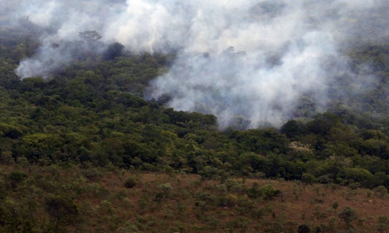 Defesa Civil alerta para queimadas – Foto: Valter Campanato/Agência Brasil/ND