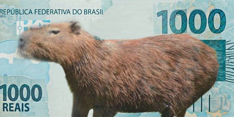 Capivara valiosa! Que tal essa nota de R$ 1.000. Seria a invasão das capivaras – Foto: reprodução redes sociais/ND