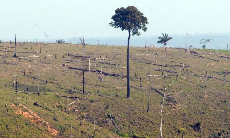 Por meio de uma declaração gravada, Bolsonaro deve falar sobre a Amazônia e as políticas ambientais do seu governo durante Assembleia da ONU – Foto: Arquivo/Agência Brasil