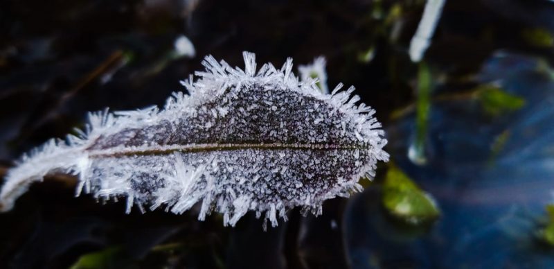A temperatura ainda não chegou aos -9°C registrados em julho de 2000. O “recorde” fica ainda pelos -10°C em agosto de 1991 na região de São Joaquim. Segundo Martins, o registro de -8,1°C é “comum” e “acontece quase todo ano”. – Foto: Wagner Urbano/Divulgação/ND