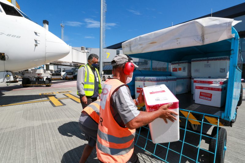 Santa Catarina recebeu neste domingo (7) mais 85 mil doses da vacina CoronaVac – Foto: Julio Cavalheiro/Divulga&ccedil;&atilde;o/Secom/ND
