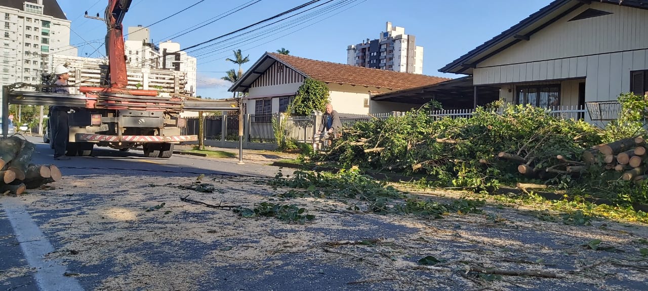 O Norte de Santa Catarina também contabilizou estragos do ciclone. Os ventos chegaram até 120 km/h. Árvores caíram no bairro Saguaçu, em Joinville - Reprodução/Redes Sociais/ND