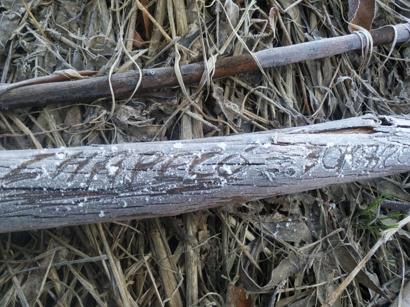 Conforme o meteorologista Piter Scheuer, do portal ClimaTerra, em Chapecó os termômetros marcaram -1,8°C na baixada do bairro Passo dos Fortes. A condição favoreceu a geada que mudou a cor da paisagem no local, do verde para o branco. – Foto: Junior Volpato/Divulgação/ND