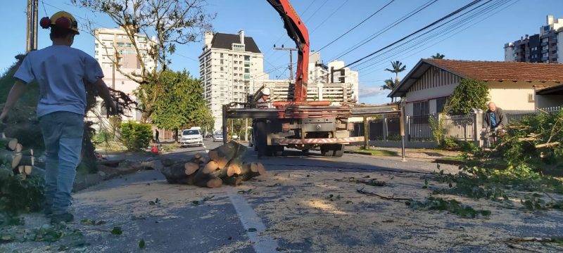 Equipes da Defesa Civil e da Secretaria de Meio Ambiente retiram árvores em diversos bairros de Joinville &#8211; Foto: Divulgação/ND