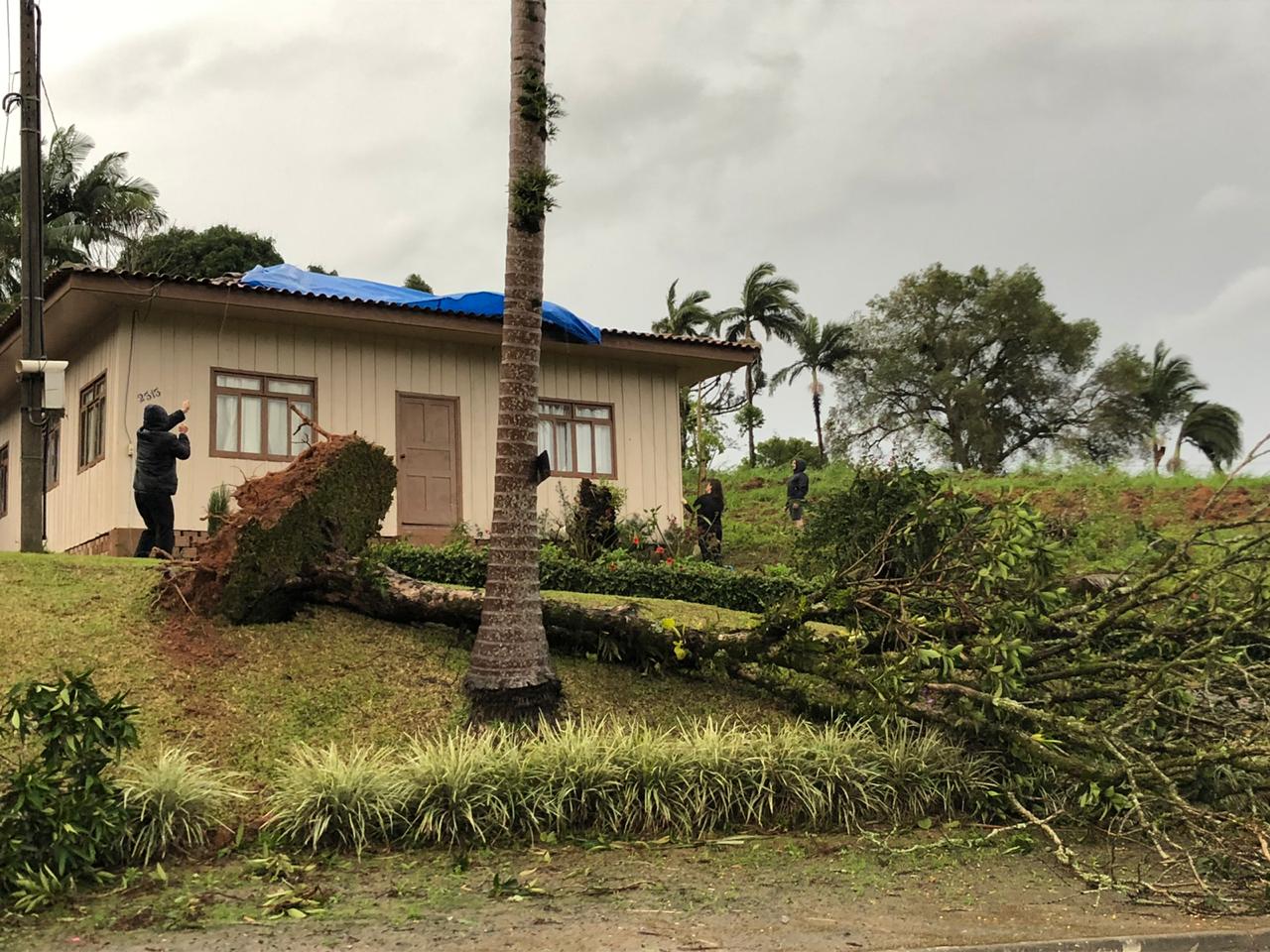 Defesa Civil e bombeiros receberam mais de 100 chamados e cerca de 50 ocorrências de queda de árvores em Indaial, no Vale do Itajaí - Prefeitura de Indaial/Divulgação/ND