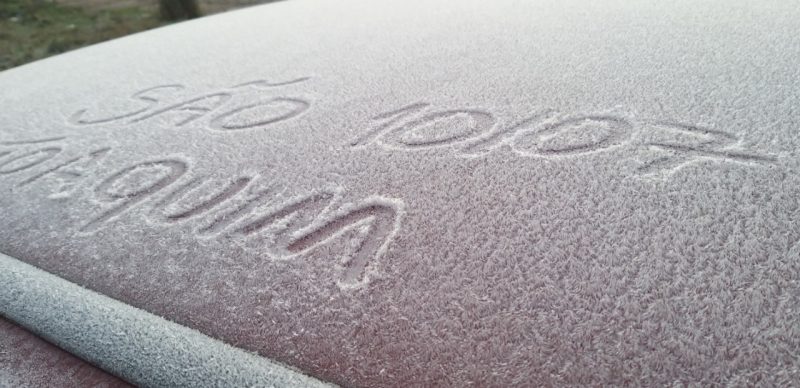 Geada em S&atilde;o Joaquim, sexta-feira (10) – Foto: Wagner Urbano/NDTV