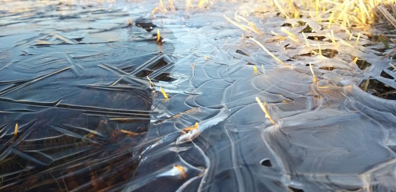 Geada em S&atilde;o Joaquim, sexta-feira (10) – Foto: Wagner Urbano/NDTV