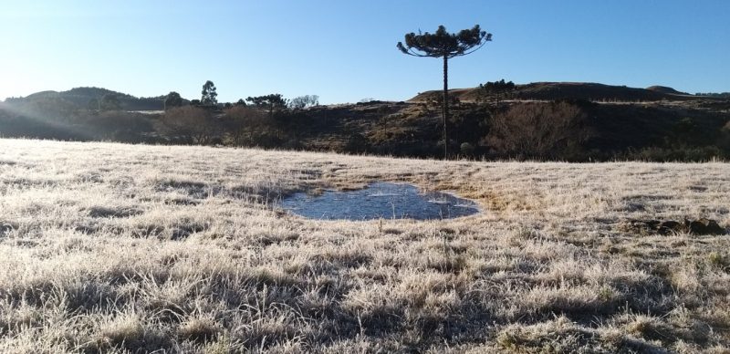 O verde foi substituido pelo branco na paisagem – Foto: Wagner Urbano/NDTV