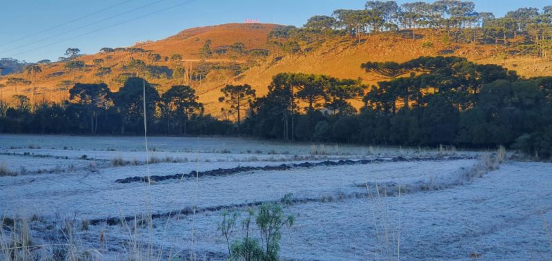 Geada em S&atilde;o Joaquim, na Serra catarinense – Foto: Mycchel Legnaghi/Divulga&ccedil;&atilde;o/ND