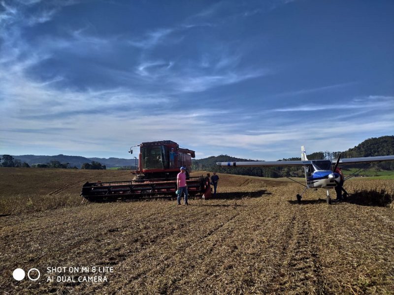 Jovem trabalhava colhendo feij&atilde;o quando avistou o avi&atilde;o – Foto: Deivid Coser/ND