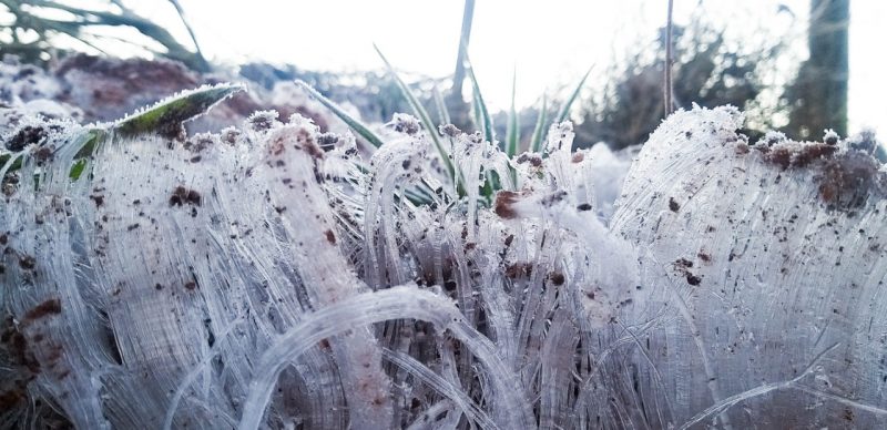 Caibi, no Oeste do Estado, bateu a marca dos 0°C no início da manhã desta quinta. Maravilha, também no Oeste chegou à 1°C. Na imagem, registro feito no Centro de São Joaquim, na Serra, no início da manhã desta quinta – Foto: Wagner Urbano/Divulgação/ND