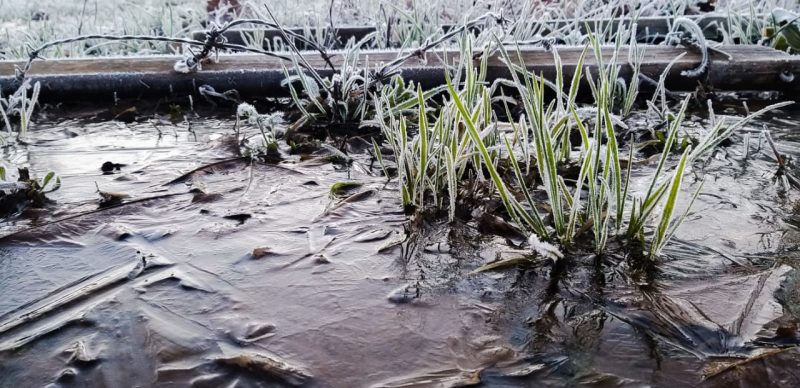 “A noite só tem o retorno, ou seja, ele só resfria o ar. Quando o raio solar chega ele atravessa o ar, aquece o chão, aí sim aquece o ar. A noite acontece ao contrário. Então tem o máximo de resfriamento”, completa Martins. Na imagem, o lago congelado em São Joaquim – Foto: Wagner Urbano/Divulgação/ND