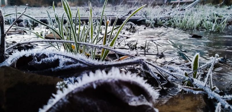 “O que provoca essa queda brusca na  temperatura são as massas de ar seco e frio. O dia anterior sendo muito ensolarado ele recebe radiação e volta radiação para a atmosfera. Então a gente tem um balanço de radiação durante o dia.”, explica o meteorologista. Na imagem, o lago e as plantas congeladas com os -5°C de São Joaquim – Foto: Wagner Urbano/Divulgação/ND