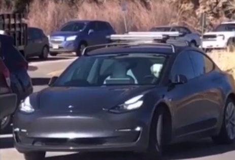 Cachorro que dirige carro? – Foto: Reprodu&ccedil;&atilde;o Youtube