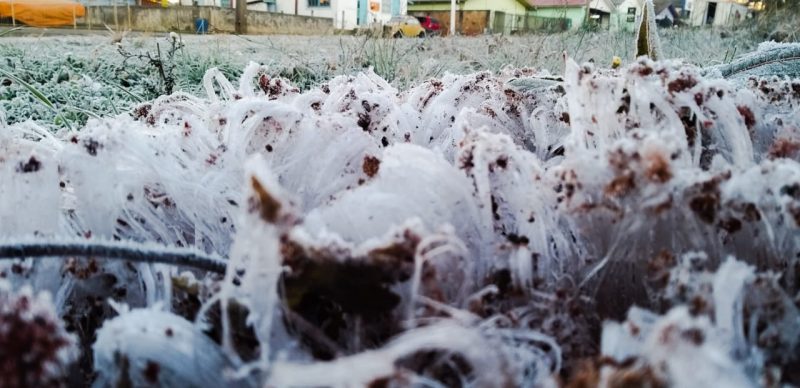 Conforme o meteorologista Piter Scheuer, às 8h32 o Centro de São Joaquim registrava -8,3°C. – Foto: Wagner Urbano/Divulgação/ND