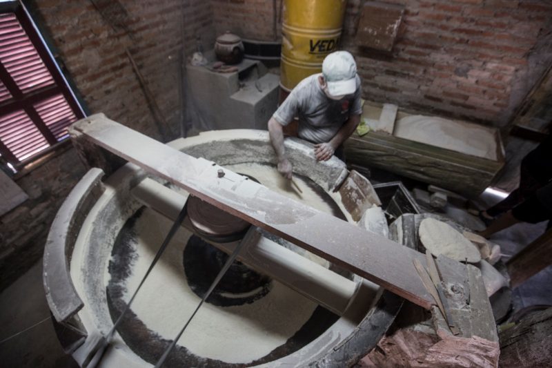 Tradição vem desde os bisavós de Sérgio Luiz de Souza, manezinho de Ponta das Canas,em Florianópolis – Foto: Anderson Coelho/ND