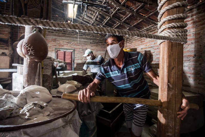 Nelson Constâncio também cresceu com a cultura da farinha – Foto: Anderson Coelho/ND