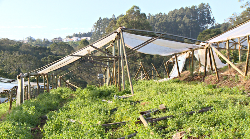 Esta propriedade, no interior de Chapecó, ficou totalmente destruída com a passagem do ciclone. Os prejuízos foram grandes e ainda é possível ver os estragos causados pela força do vento. As estufas das plantações ficaram no chão. Um mês depois, os trabalhos de reconstrução estão a todo vapor – Foto: NDTV/Reprodução